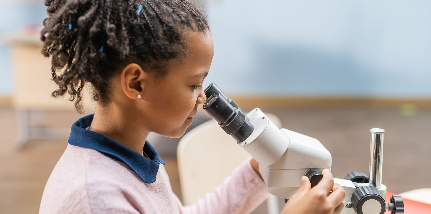 Looking Through Microscope